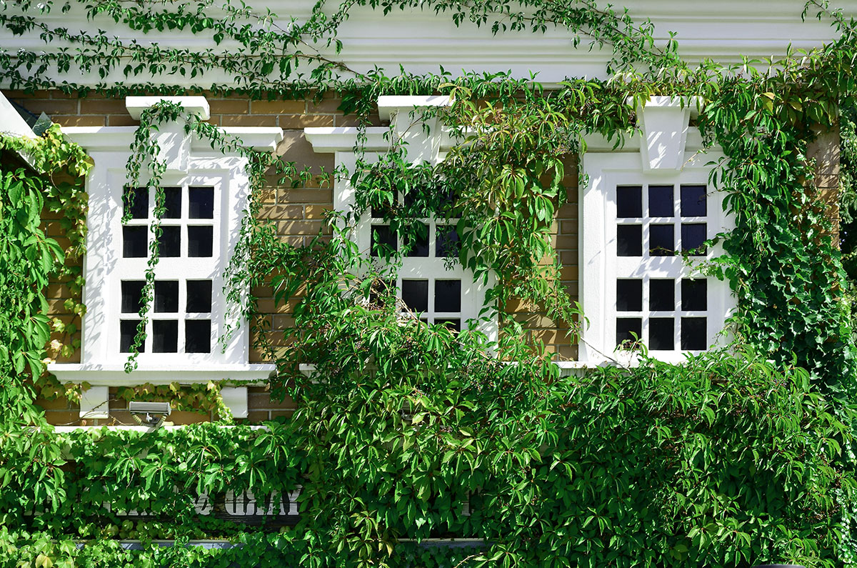 Timber Windows in North London: Enhancing Your Home with PM Windows Ltd ...